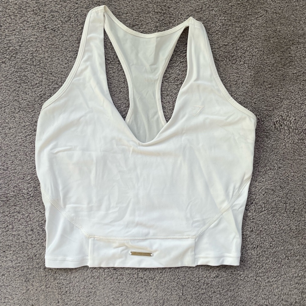 Gym shark Whitney Simmons tank
